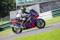brands-hatch-photographs;brands-no-limits-trackday;cadwell-trackday-photographs;enduro-digital-images;event-digital-images;eventdigitalimages;no-limits-trackdays;peter-wileman-photography;racing-digital-images;trackday-digital-images;trackday-photos